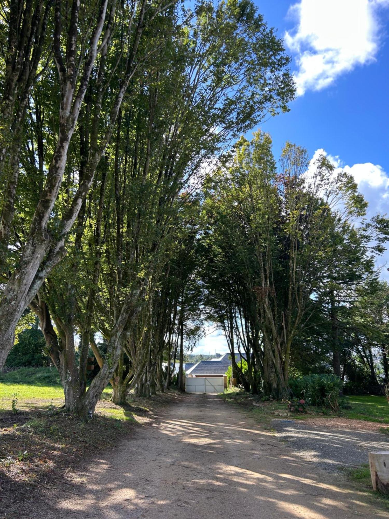 Reve De Clarte Acomodação com café da manhã Plouigneau Exterior foto