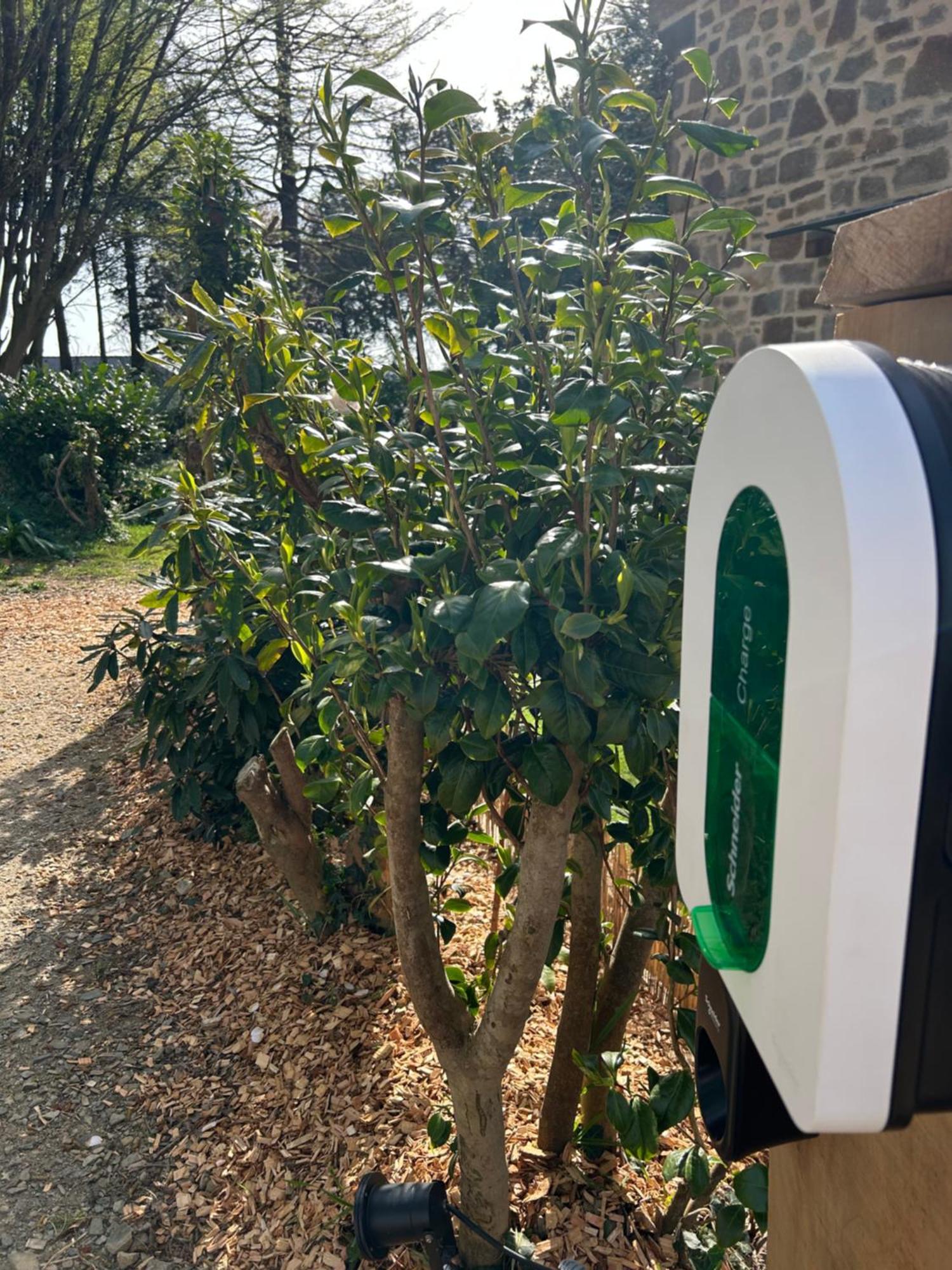 Reve De Clarte Acomodação com café da manhã Plouigneau Exterior foto